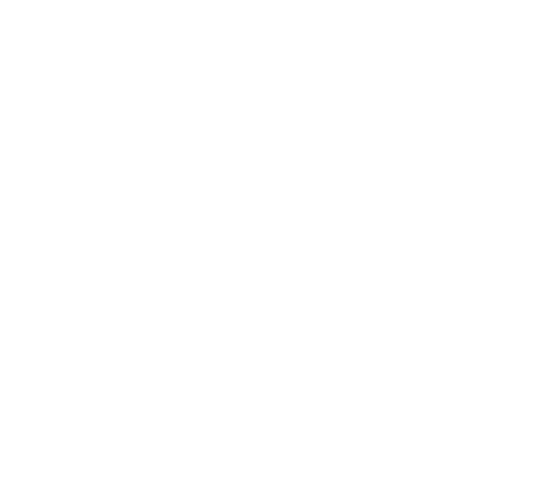 Logo SwitchMorph