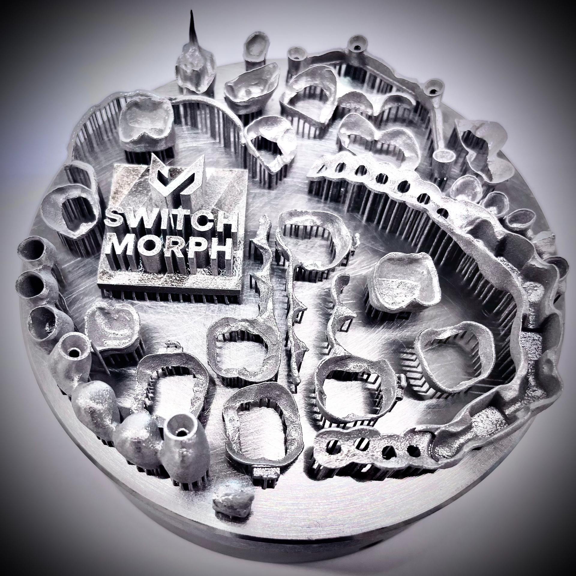 Switch Morph header image